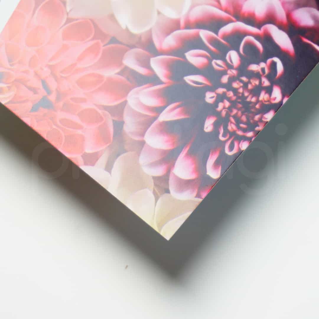 Material Art Carton