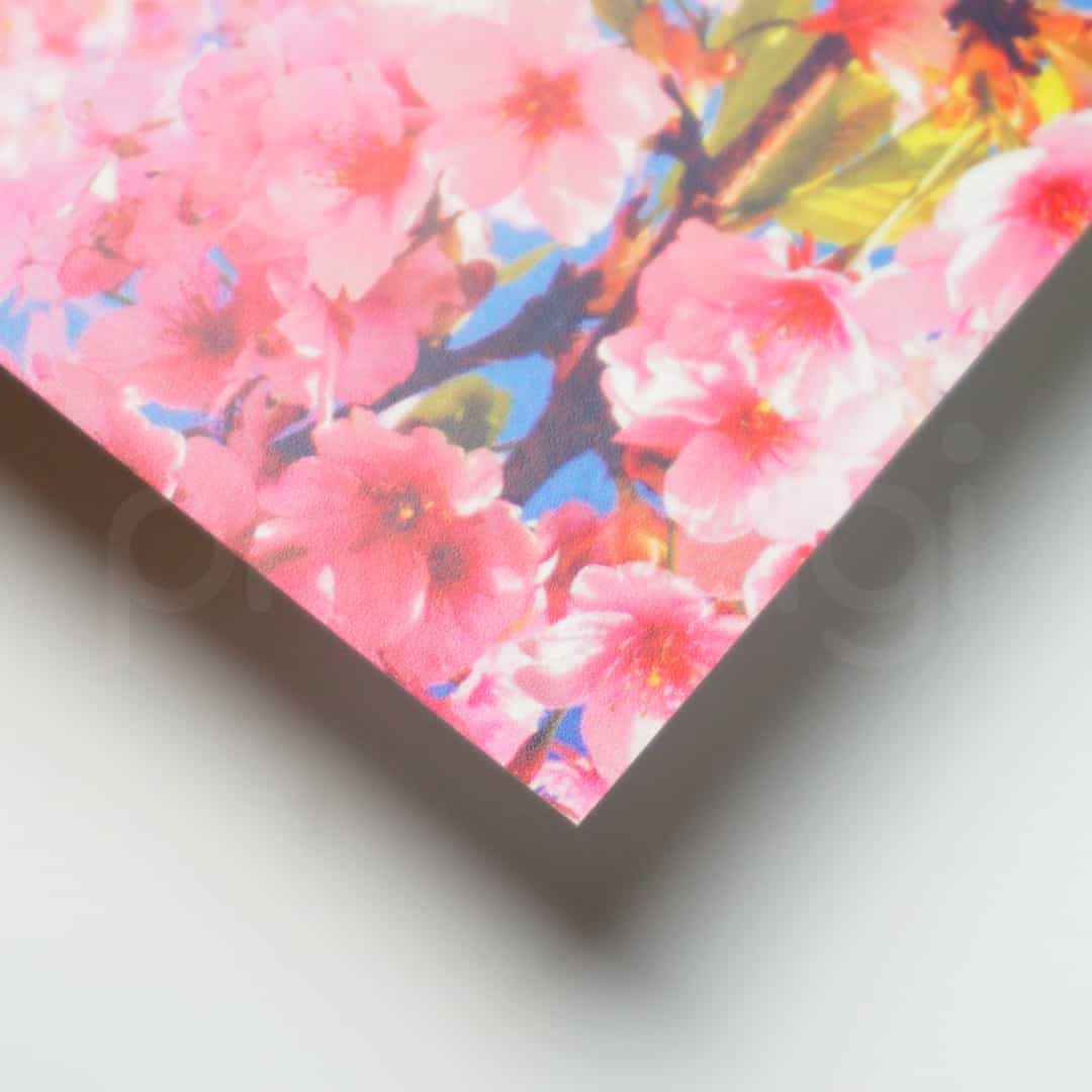 Material Digital Prophoto